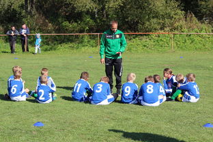 爱游戏ayx官网-德甲球队构建战术模拟平台提升临场应变能力，德甲模式